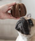 Jouet d'enrichissement pour chien en forme de canelé, de la marque LAMBWOLF COLLECTIVE