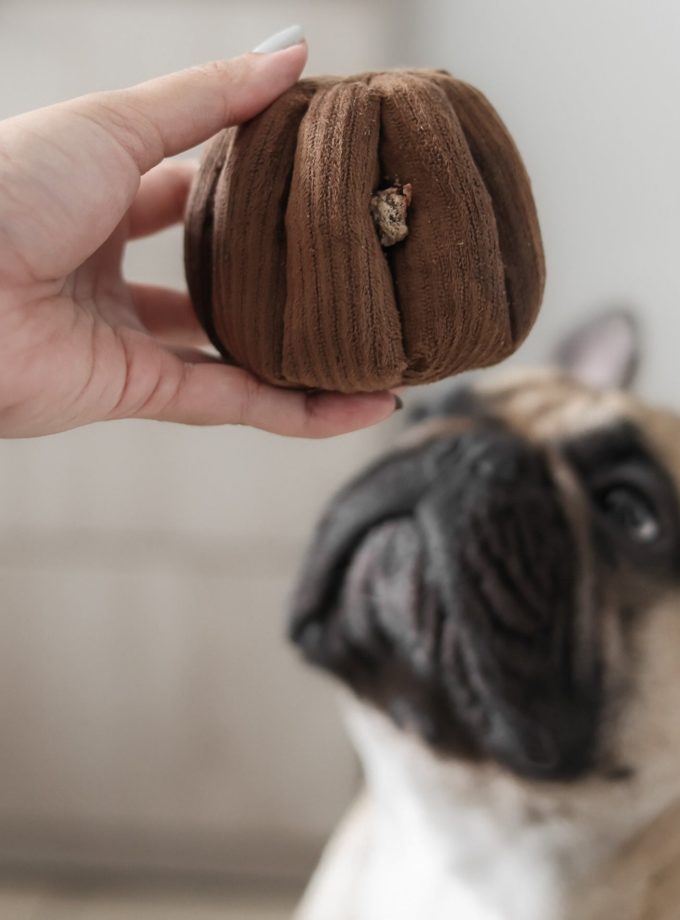 Jouet d'enrichissement pour chien en forme de canelé, de la marque LAMBWOLF COLLECTIVE